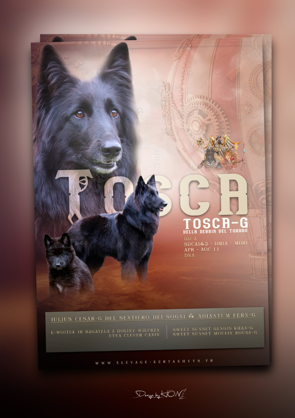 Tosca-g della nebbia del toraro