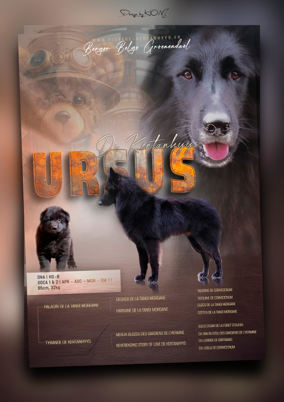 Ursus dit Nounours de Kertanhyys